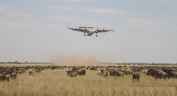 6 Days Amboseli Mara Tour